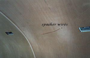 Speaker wires