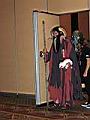 Costume Contestant