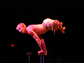 Cirque du Soleil performance