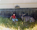 Me & deer