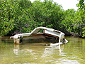 Sunken Boat