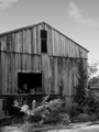 Rustic America - Run Down Barn