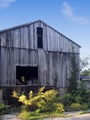 Rustic America - Run Down Barn