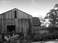 Rustic America - Run Down Barn