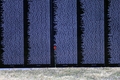 The Wall
