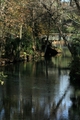 Silver Springs