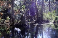 Silver Springs