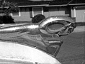 Car Hood Ornament