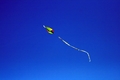 Kite Flying