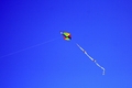 Kite Flying