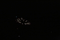 Disney Fireworks